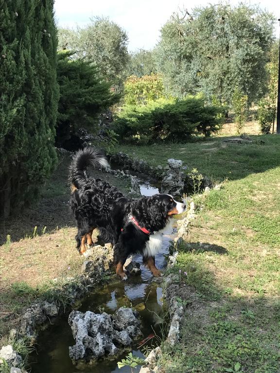 Agriturismo Azienda Agricola La Roccaia San Gimignano Exterior foto
